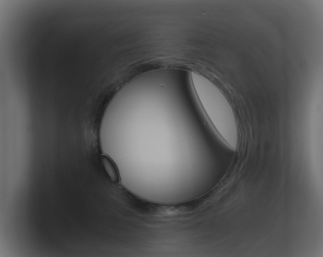 X0000101950613200807180704