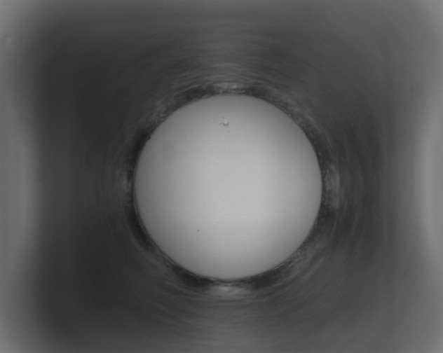 X0000101950614200807180704