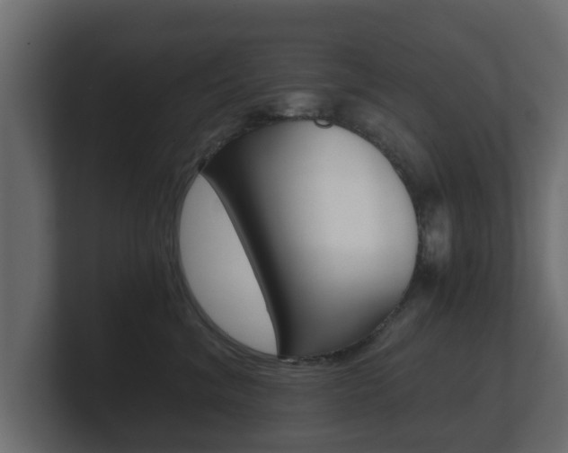 X0000101950620200807180704