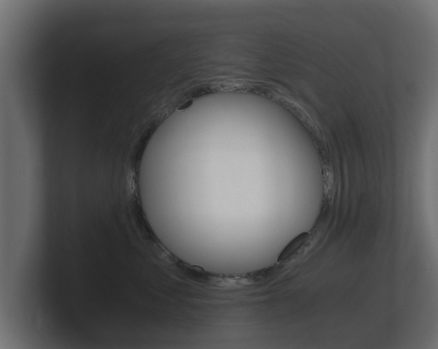 X0000101950621200807180704