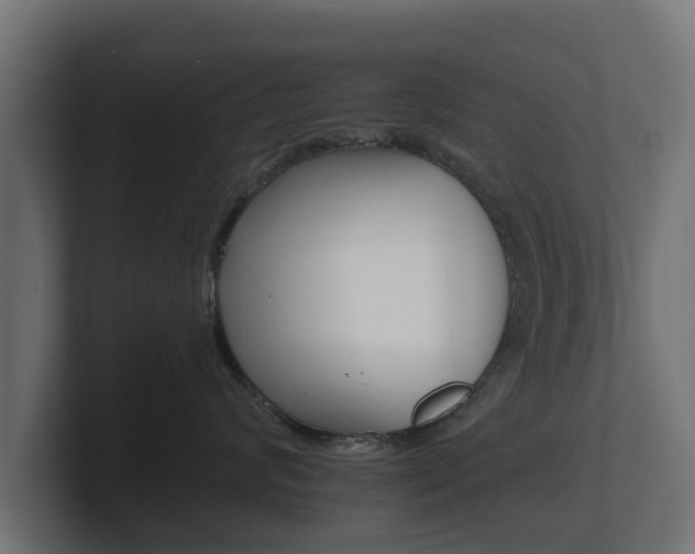 X0000101950624200807180704