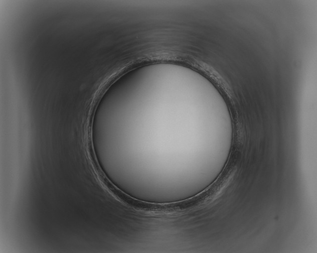 X0000101950625200807180703