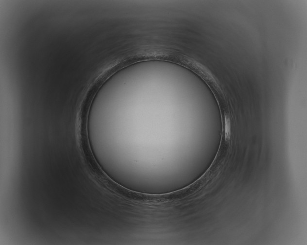 X0000101950627200807180703