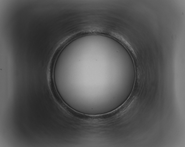 X0000101950629200807180703