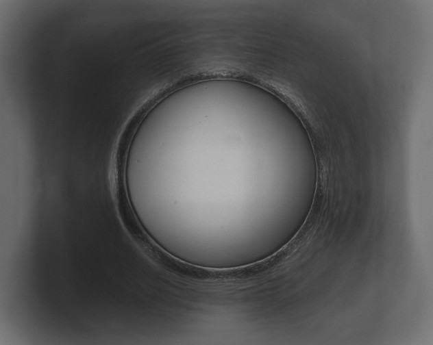 X0000101950630200807180703