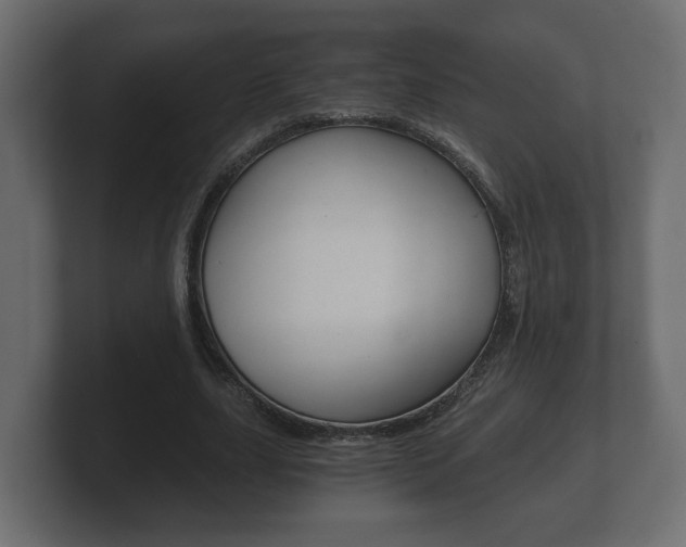 X0000101950631200807180703