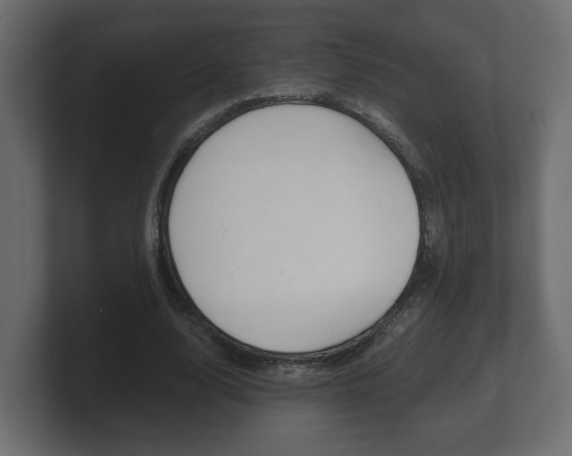 X0000101950632200807180703