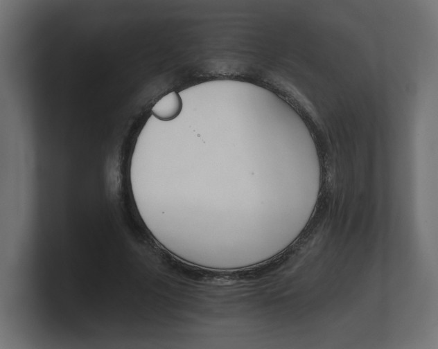 X0000101950635200807180703
