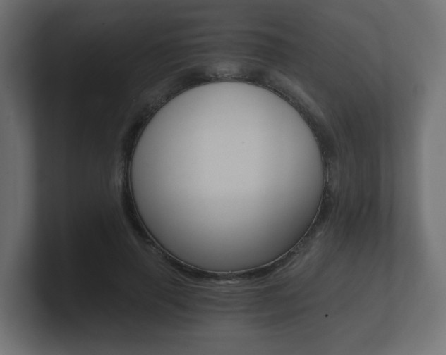 X0000101950645200807180703