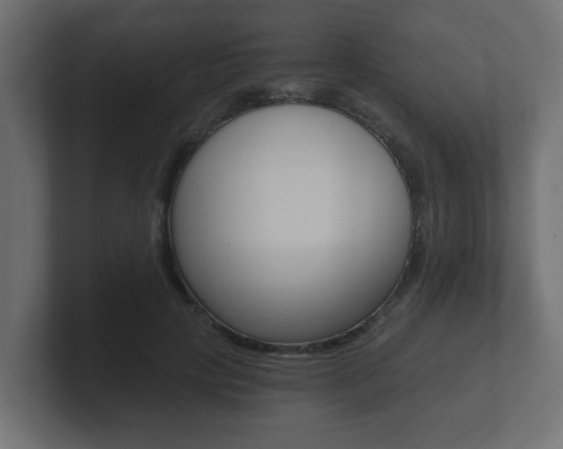 X0000101950649200807180703