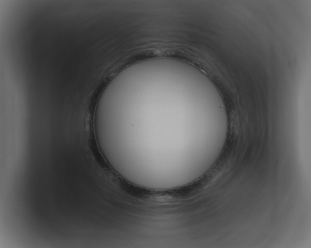 X0000101950650200807180703