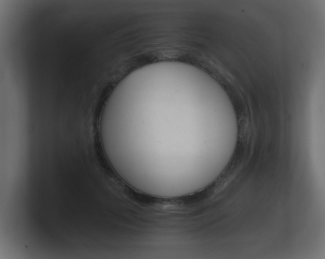 X0000101950655200807180703