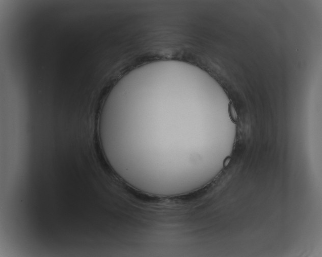 X0000101950656200807180703