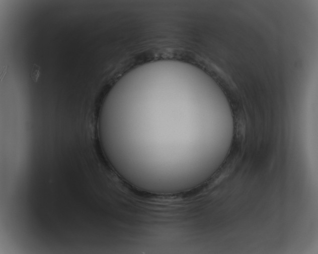 X0000101950661200807180703
