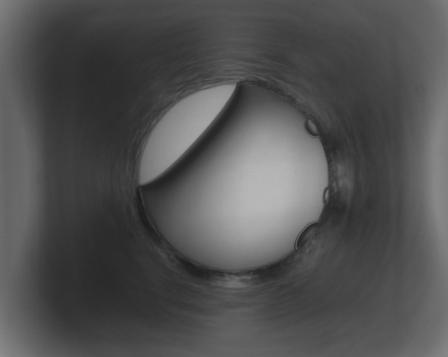 X0000101950664200807180704