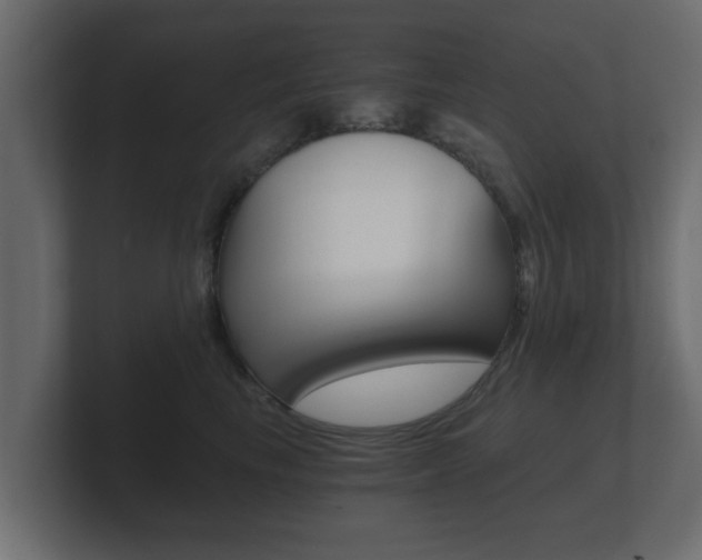 X0000101950665200807180704