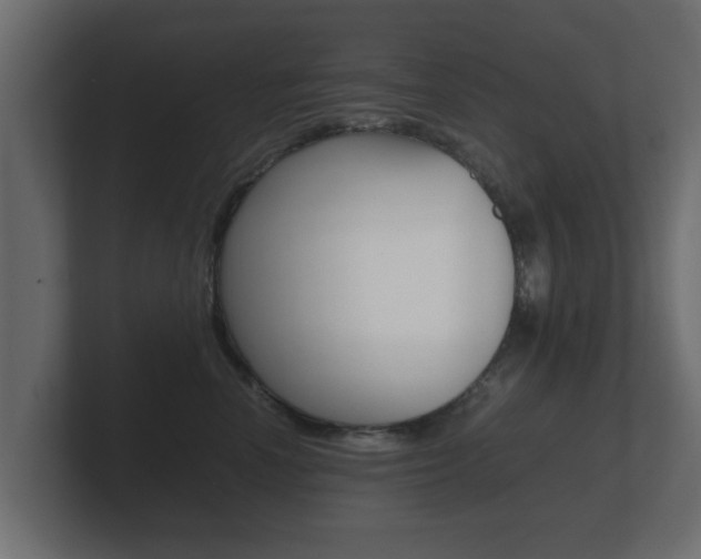 X0000101950666200807180704