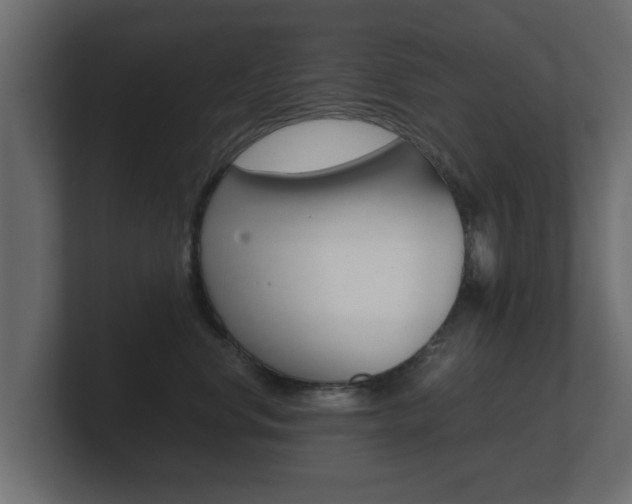 X0000101950668200807180704