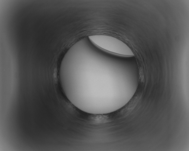 X0000101950670200807180704