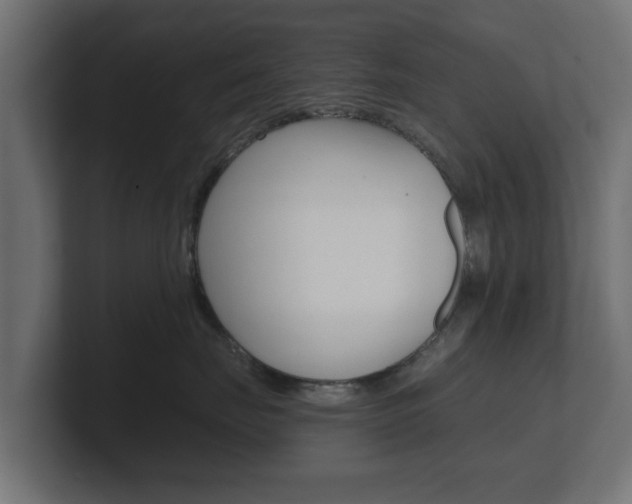 X0000101950671200807180704