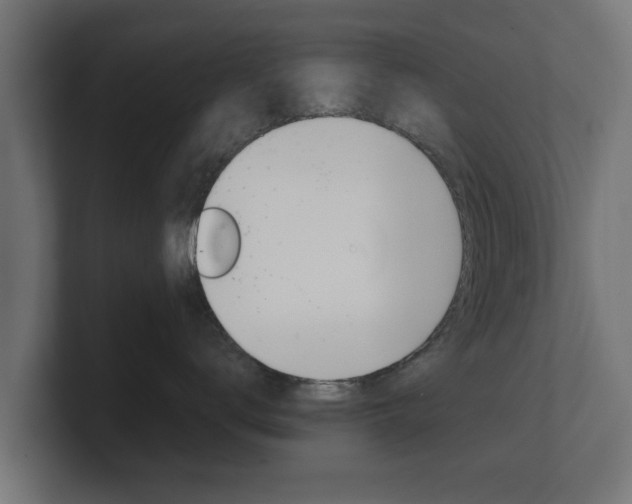 X0000101950672200807180704