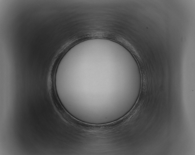 X0000101950674200807180703