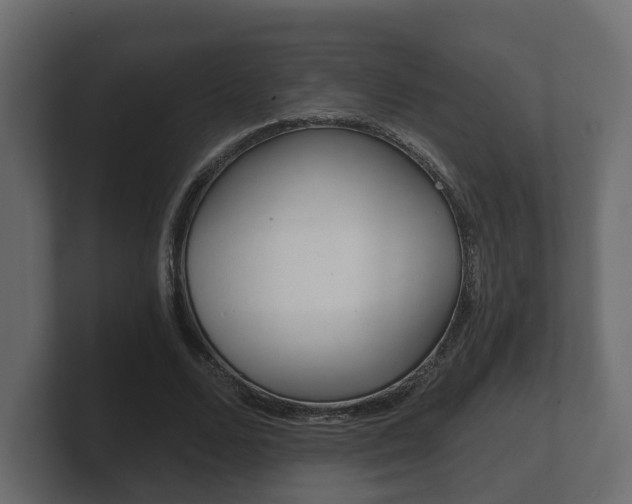 X0000101950680200807180703