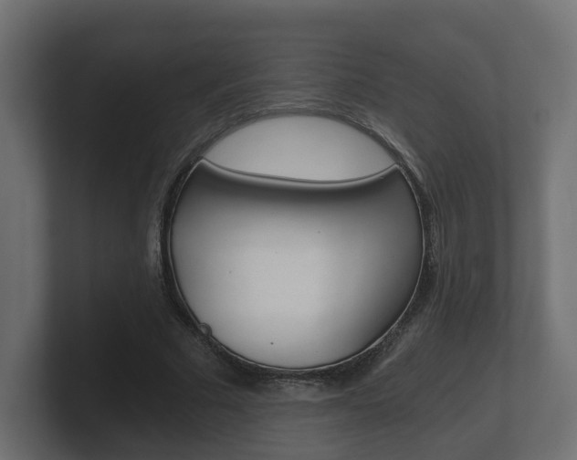 X0000101950681200807180703