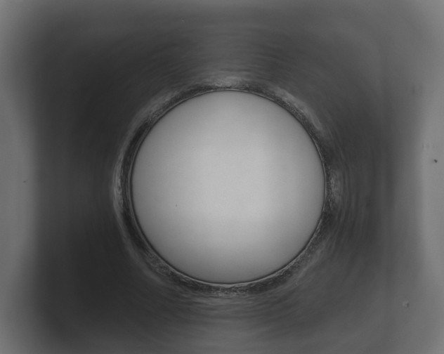 X0000101950682200807180703