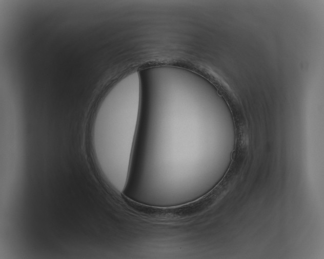 X0000101950685200807180703