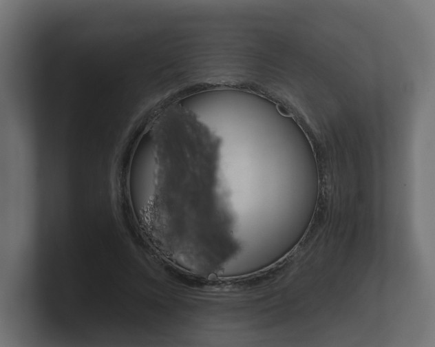 X0000101950688200807180703