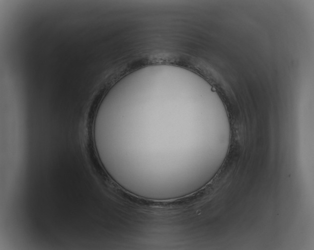 X0000101950690200807180703