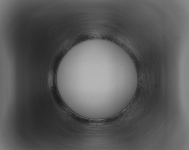 X0000101950694200807180703