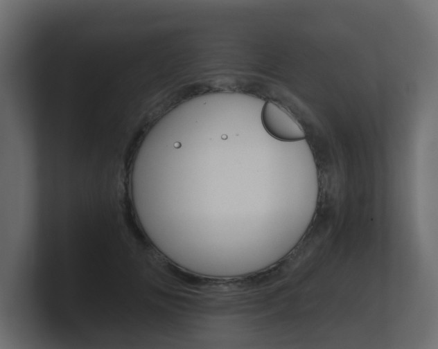 X0000101950702200807180703