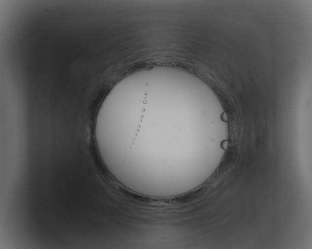 X0000101950703200807180703