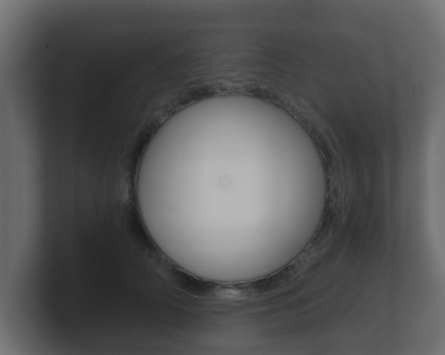 X0000101950706200807180703
