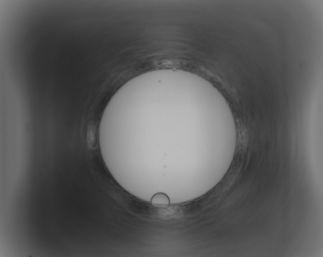 X0000101950709200807180703