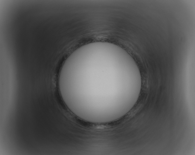 X0000101950710200807180702
