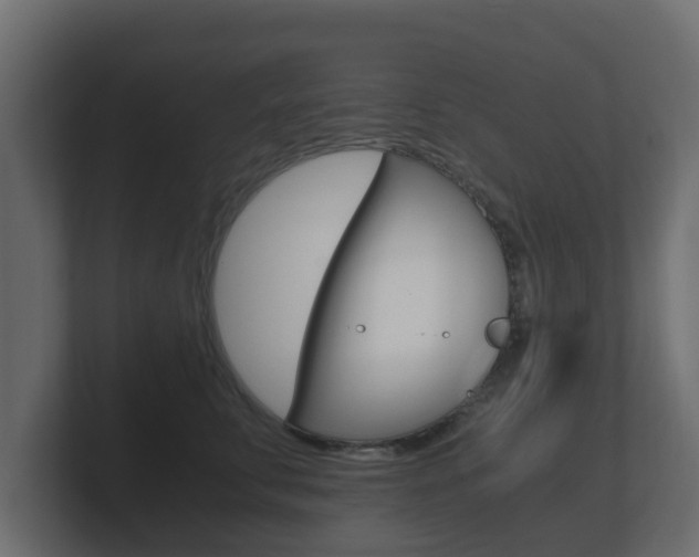 X0000101950711200807180702