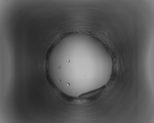 X0000101950712200807180702