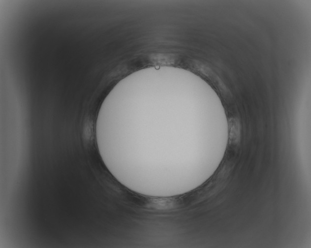 X0000101950713200807180702