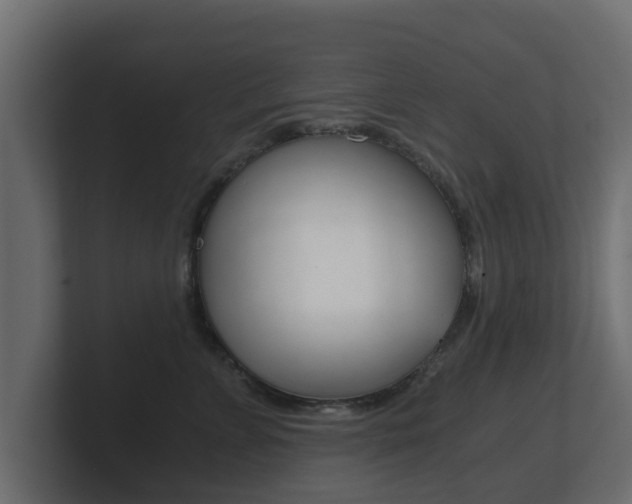 X0000101950715200807180702