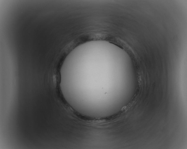 X0000101950716200807180702