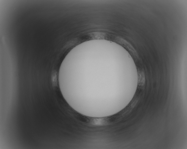 X0000101950717200807180702