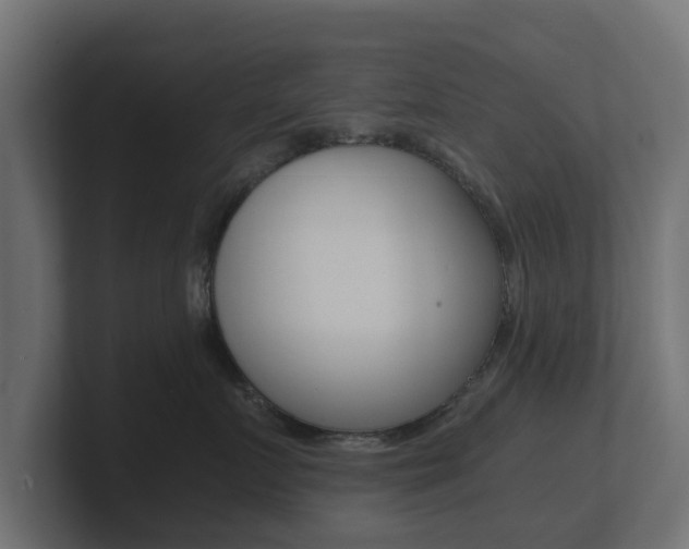 X0000101950719200807180702