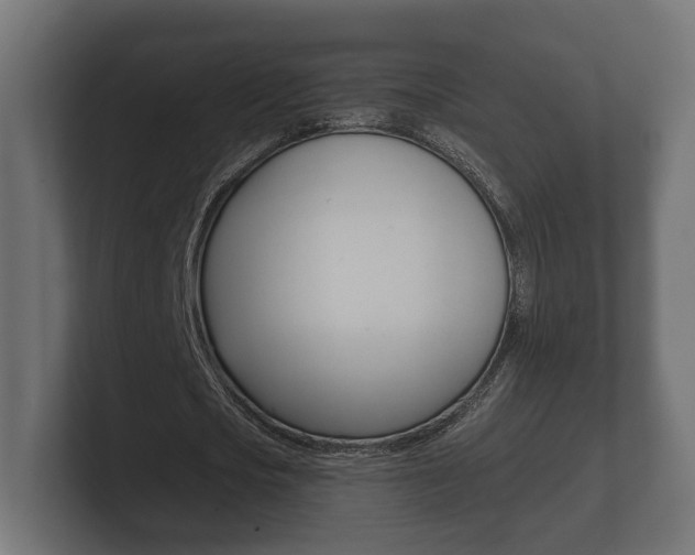 X0000101950721200807180702