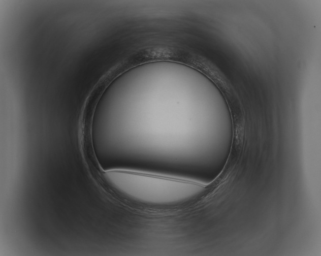X0000101950722200807180702