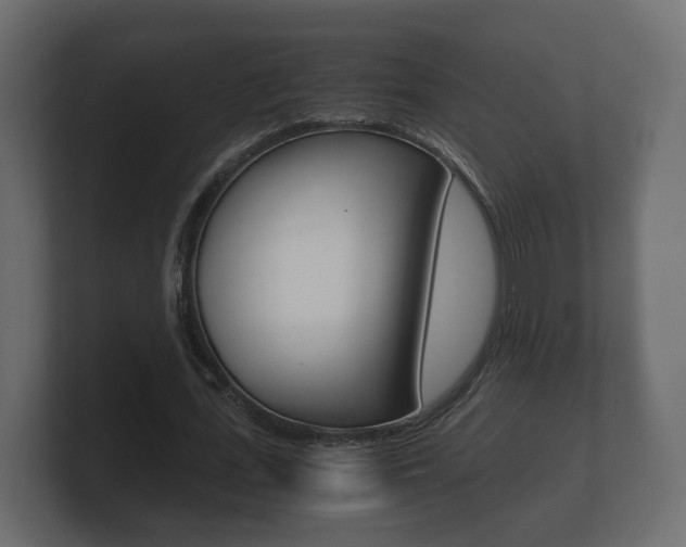 X0000101950723200807180702