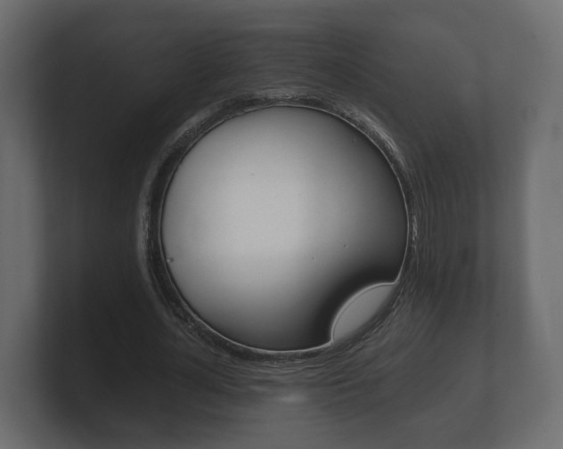 X0000101950724200807180702