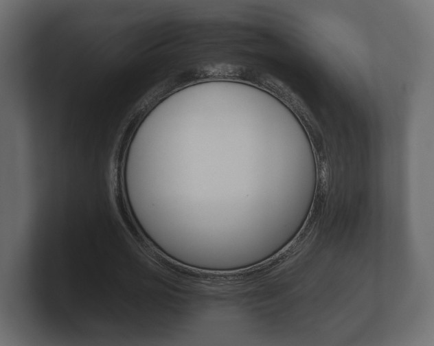 X0000101950725200807180702
